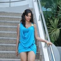 Payal Ghosh New Hot and Spicy Gallery | Picture 90642